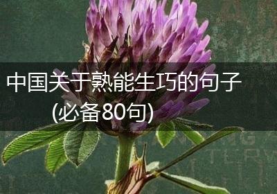 中国关于熟能生巧的句子(必备80句)