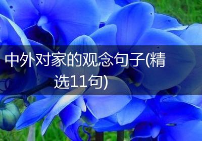 中外对家的观念句子(精选11句)