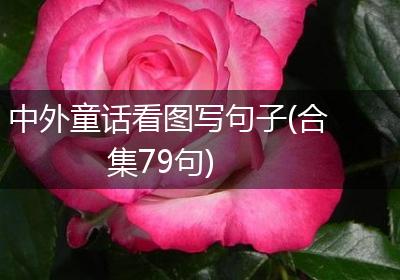 中外童话看图写句子(合集79句)