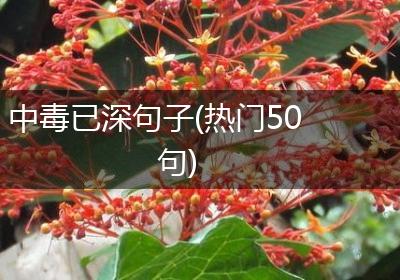 中毒已深句子(热门50句)