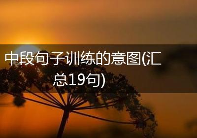 中段句子训练的意图(汇总19句)