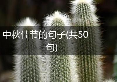 中秋佳节的句子(共50句)