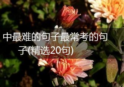 中最难的句子最常考的句子(精选20句)