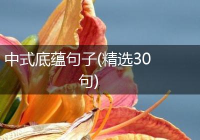 中式底蕴句子(精选30句)
