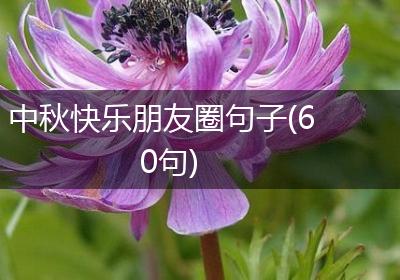 中秋快乐朋友圈句子(60句)