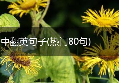 中翻英句子(热门80句)
