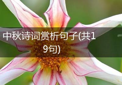 中秋诗词赏析句子(共19句)