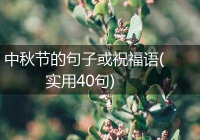 中秋节的句子或祝福语(实用40句)