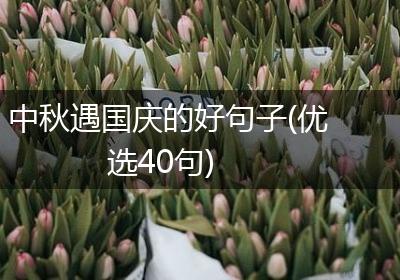 中秋遇国庆的好句子(优选40句)