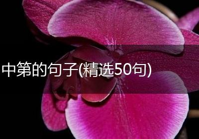 中第的句子(精选50句)