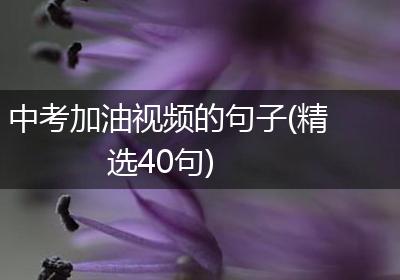 中考加油视频的句子(精选40句)
