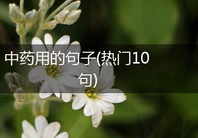中药用的句子(热门10句)
