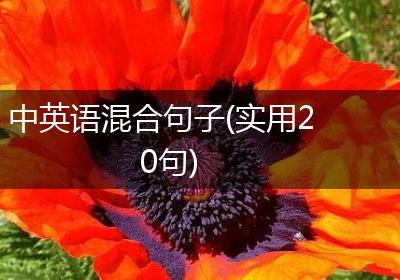 中英语混合句子(实用20句)