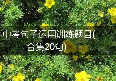 中考句子运用训练题目(合集20句)