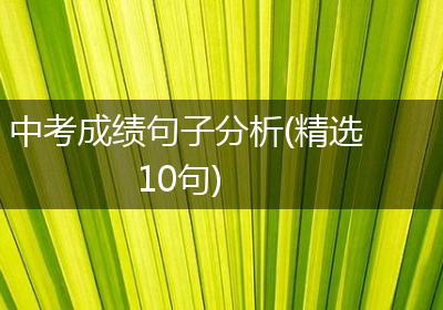 中考成绩句子分析(精选10句)