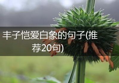 丰子恺爱白象的句子(推荐20句)