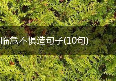 临危不惧造句子(10句)