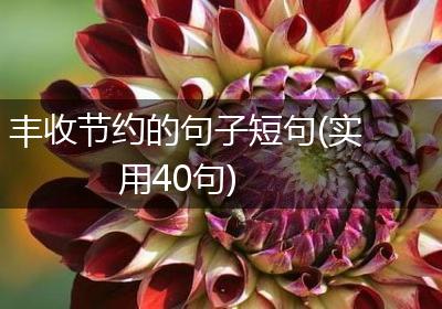 丰收节约的句子短句(实用40句)