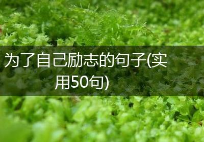 为了自己励志的句子(实用50句)