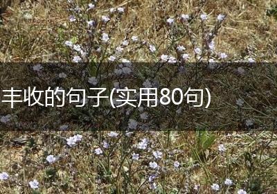 丰收的句子(实用80句)