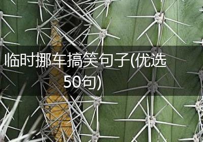 临时挪车搞笑句子(优选50句)