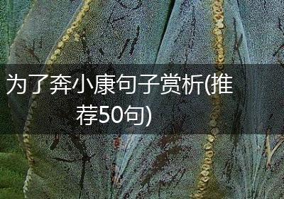 为了奔小康句子赏析(推荐50句)