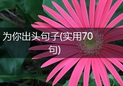 为你出头句子(实用70句)