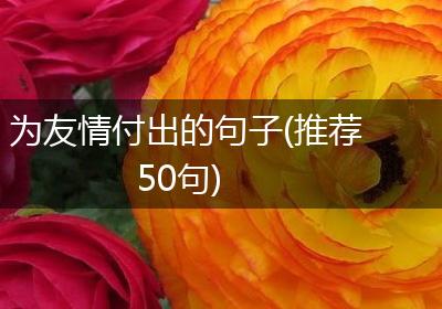 为友情付出的句子(推荐50句)