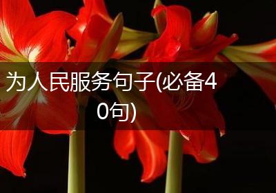 为人民服务句子(必备40句)