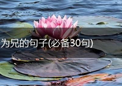 为兄的句子(必备30句)