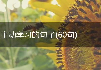 主动学习的句子(60句)