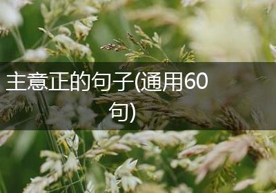 主意正的句子(通用60句)