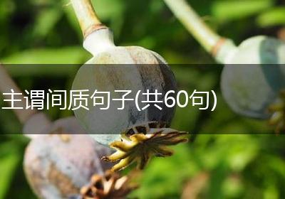 主谓间质句子(共60句)