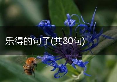 乐得的句子(共80句)