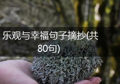 乐观与幸福句子摘抄(共80句)