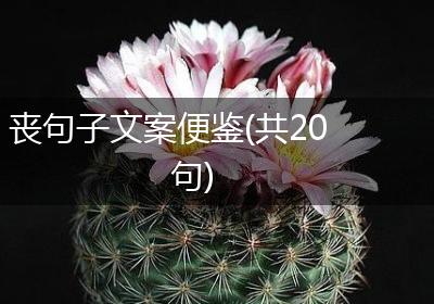 丧句子文案便鉴(共20句)