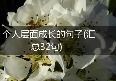 个人层面成长的句子(汇总32句)
