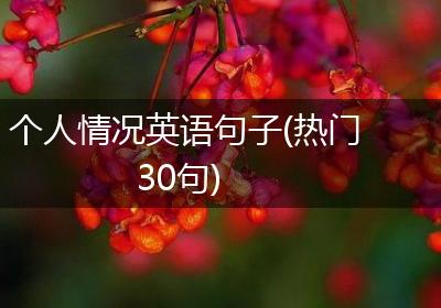 个人情况英语句子(热门30句)