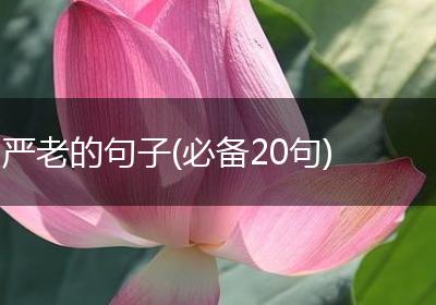 严老的句子(必备20句)
