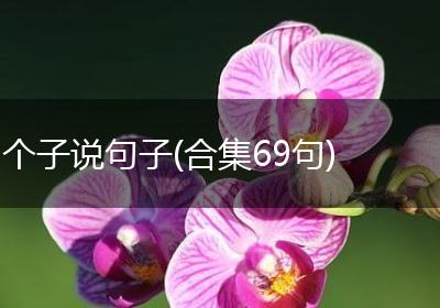 个子说句子(合集69句)