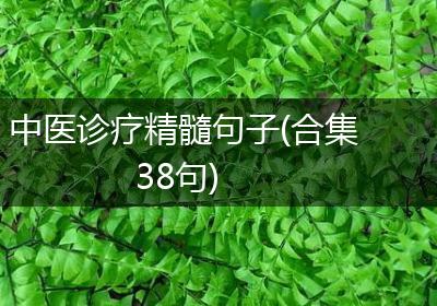 中医诊疗精髓句子(合集38句)