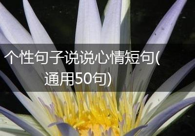 个性句子说说心情短句(通用50句)