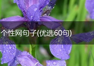个性网句子(优选60句)