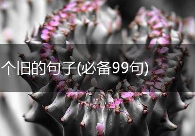 个旧的句子(必备99句)