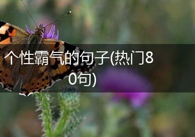 个性霸气的句子(热门80句)