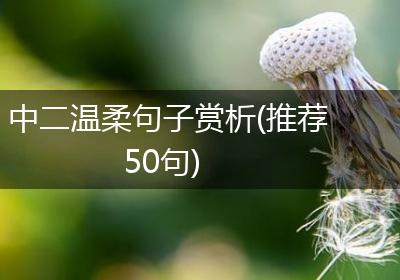 中二温柔句子赏析(推荐50句)