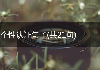 个性认证句子(共21句)