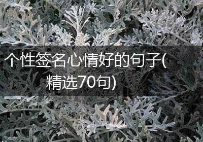 个性签名心情好的句子(精选70句)
