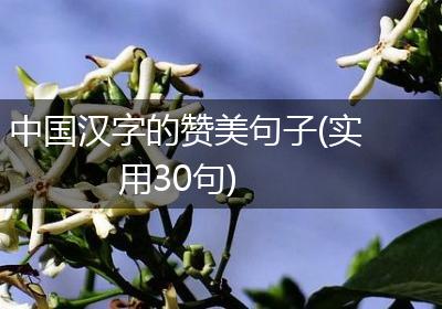 中国汉字的赞美句子(实用30句)