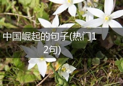 中国崛起的句子(热门12句)